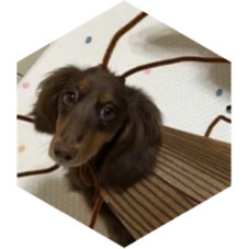 challenge badge