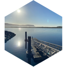 challenge badge