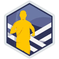 challenge badge