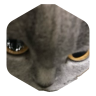 challenge badge