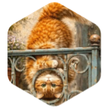 challenge badge