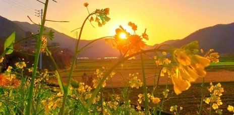 challenge background