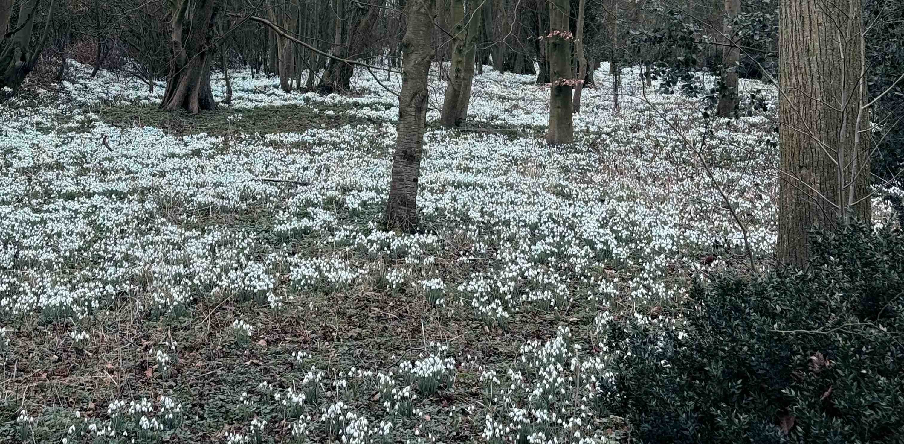 challenge background