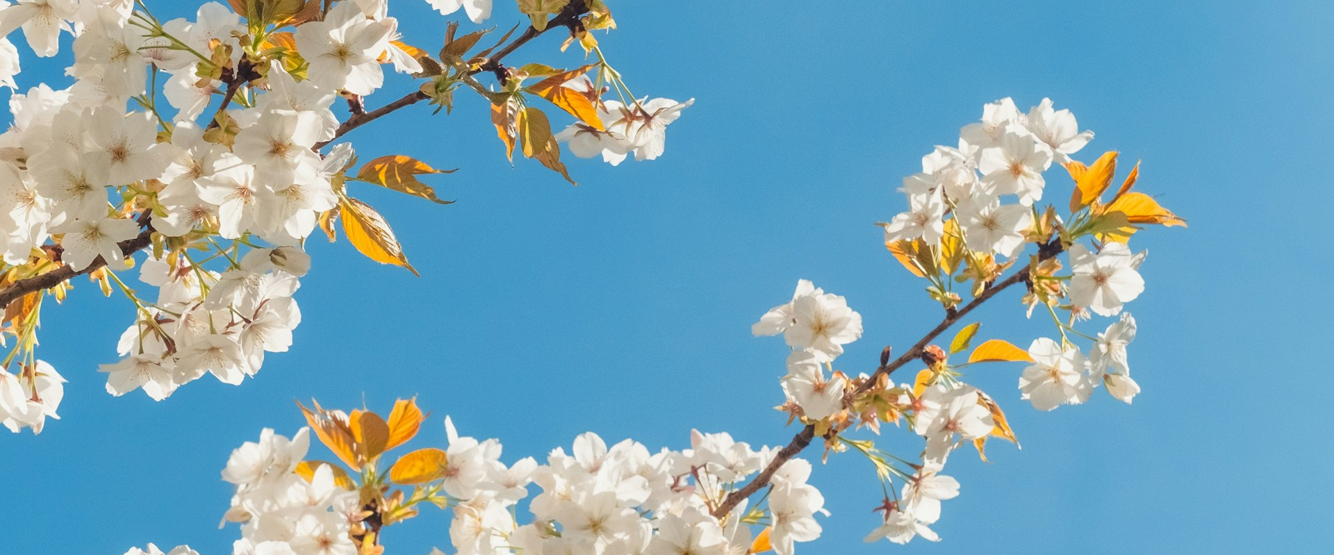 challenge background