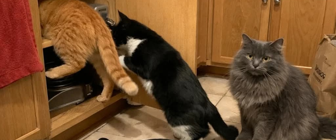 challenge background