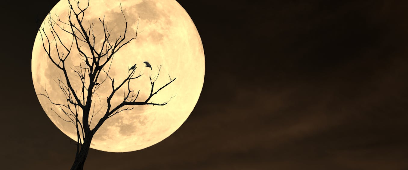 challenge background