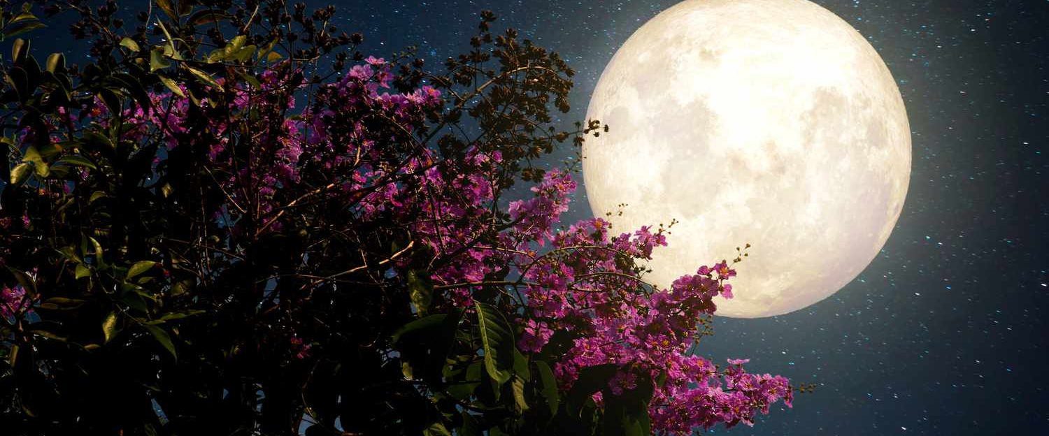 challenge background