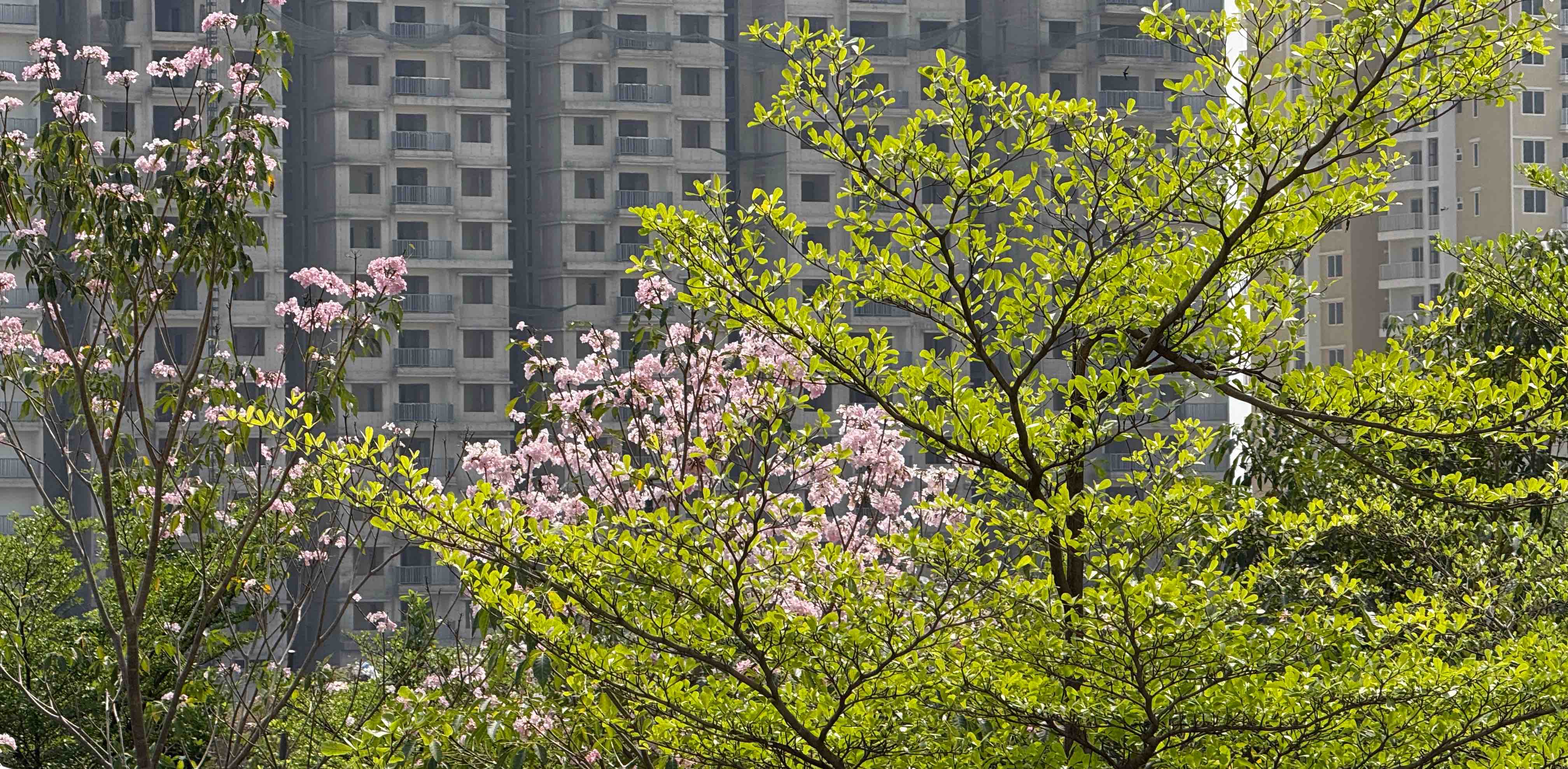 challenge background