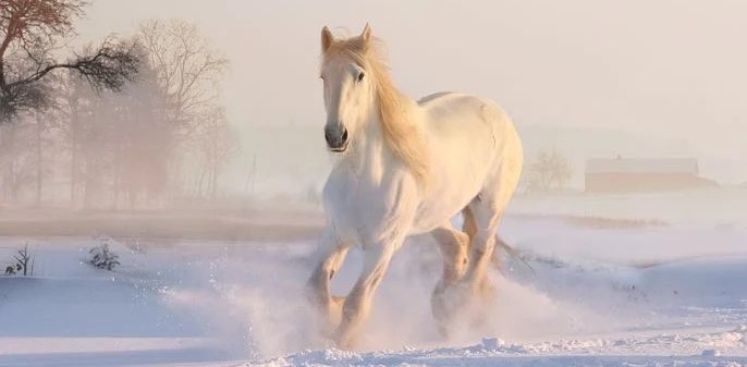 challenge background