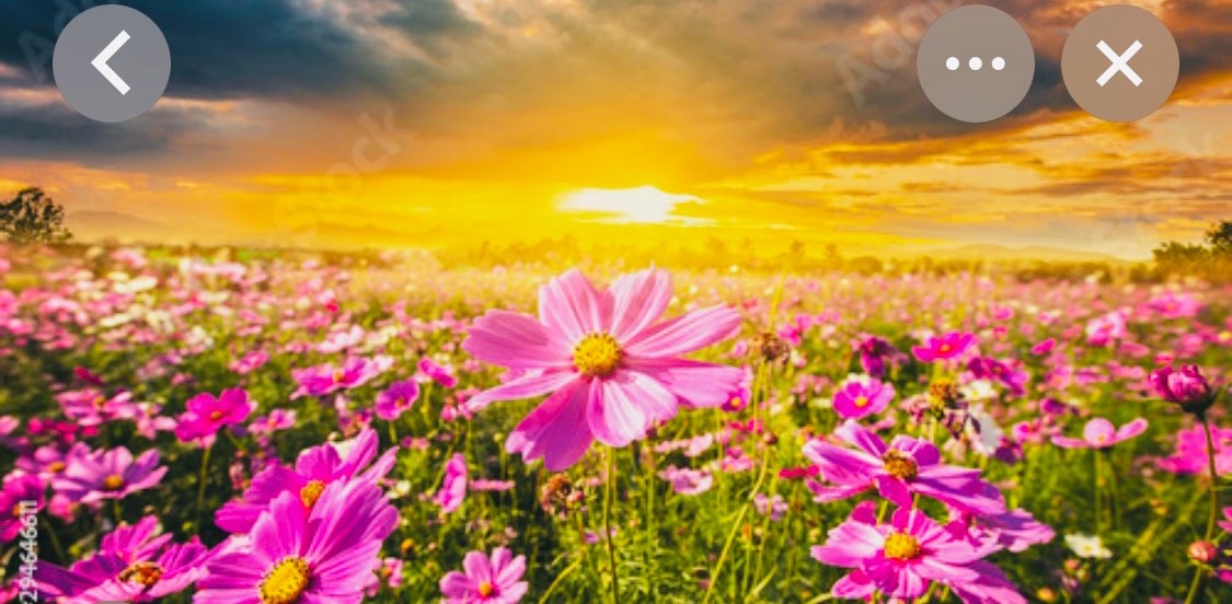 challenge background