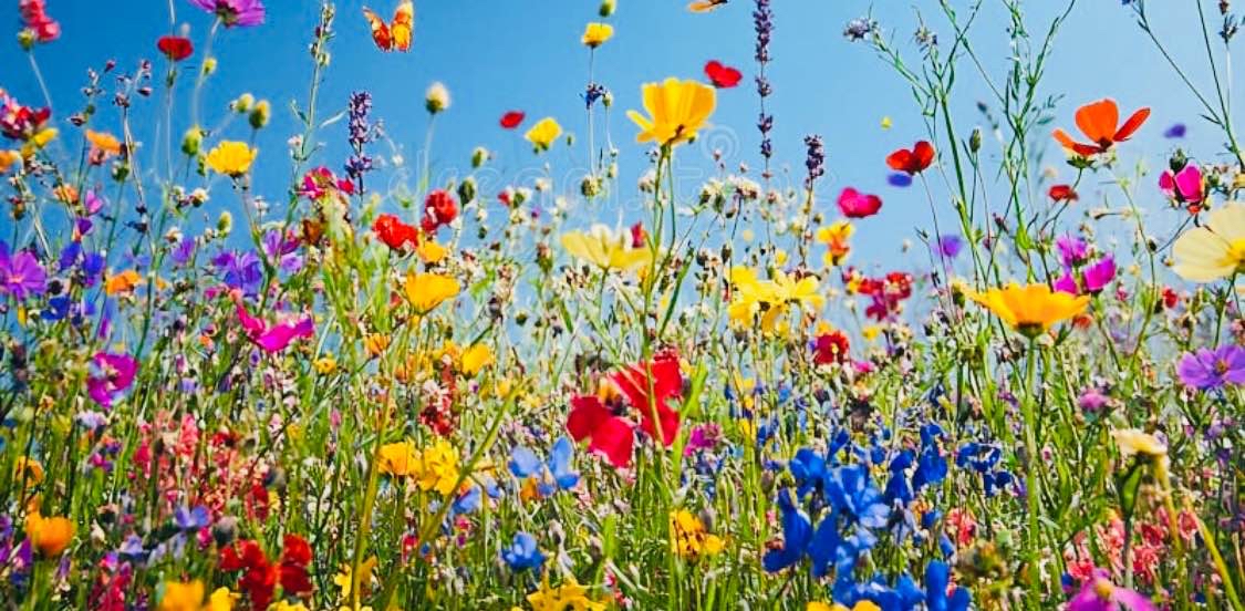 challenge background