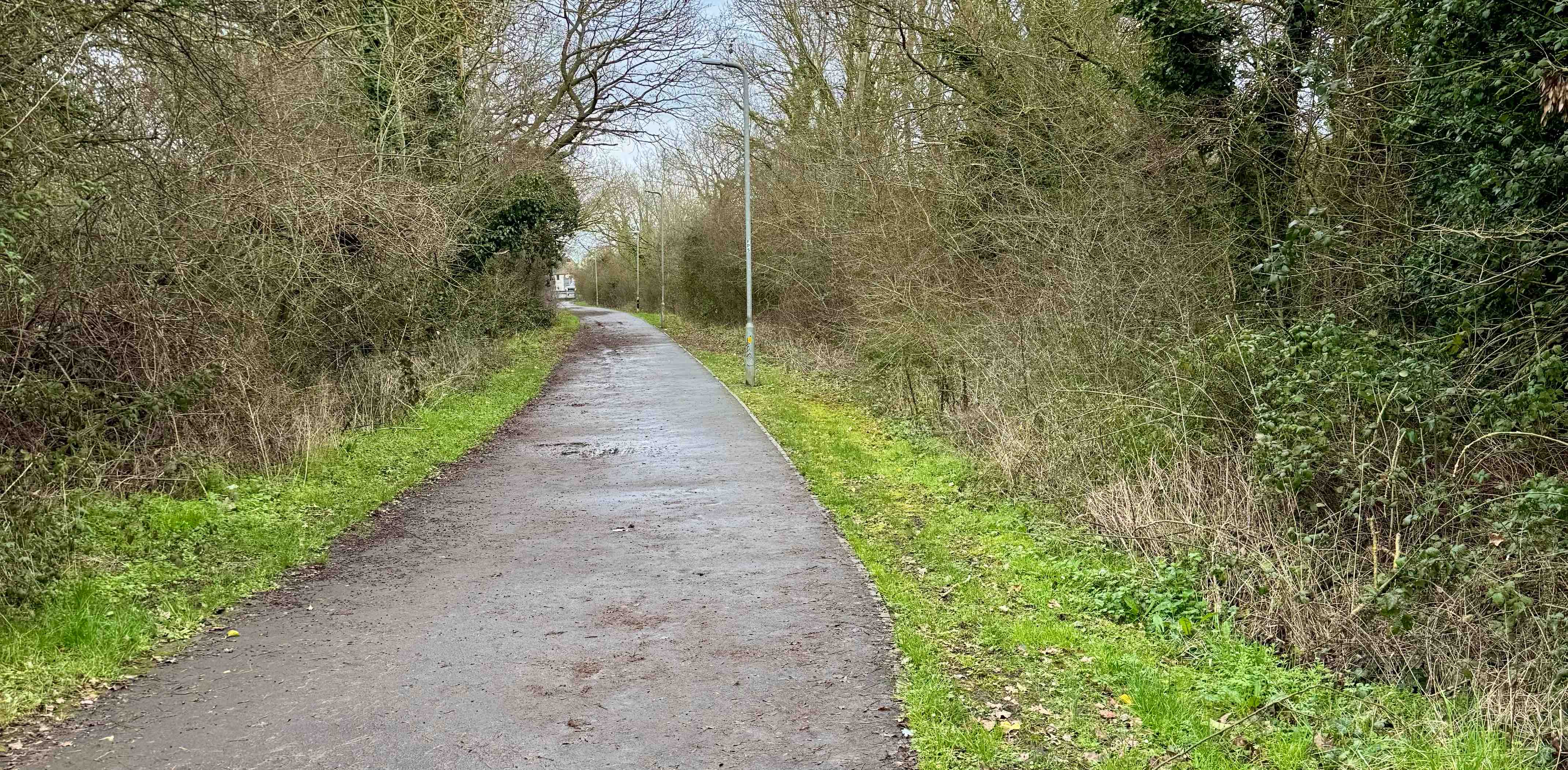 challenge background