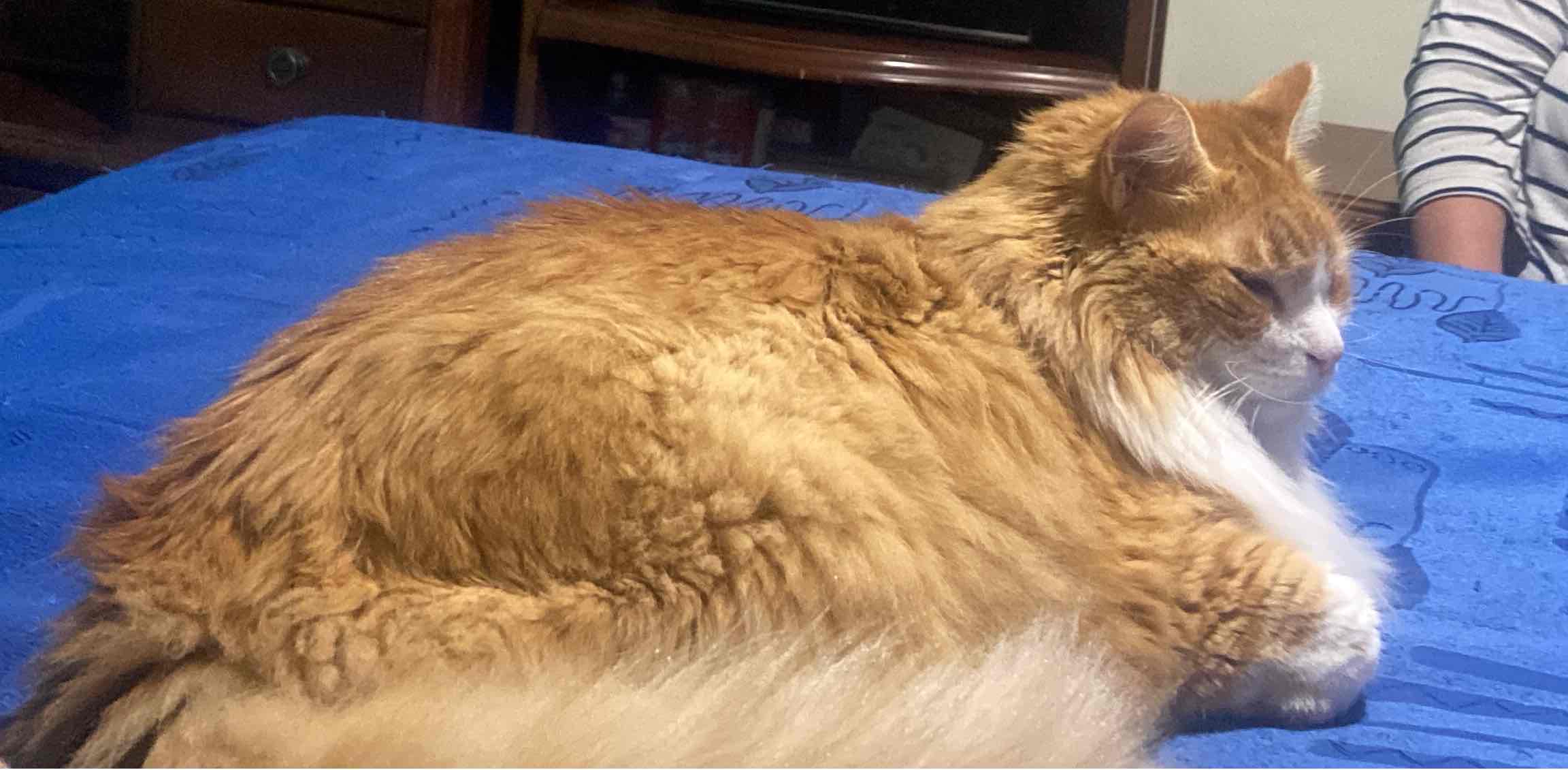 challenge background