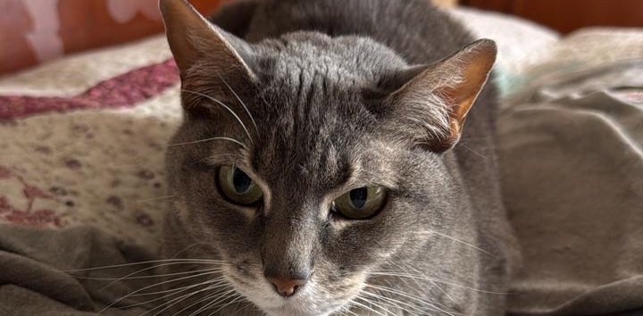 challenge background