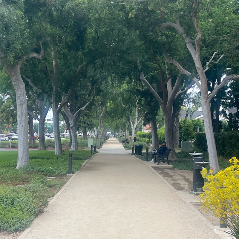 Lonnie’s Walking Club logo