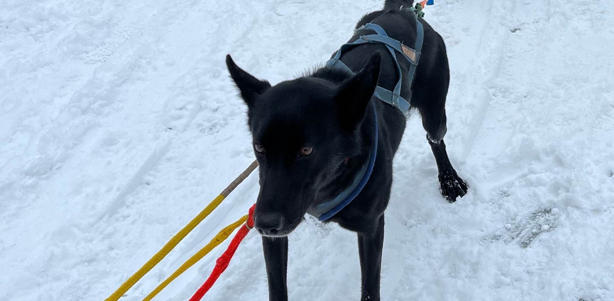 challenge background