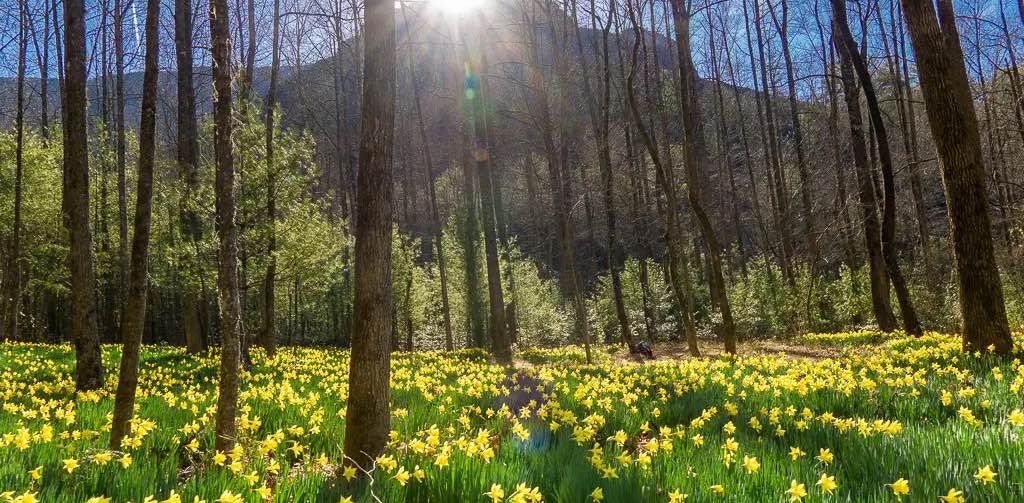 challenge background