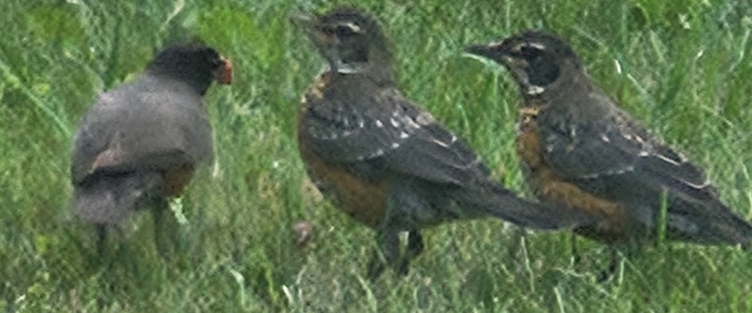 challenge background