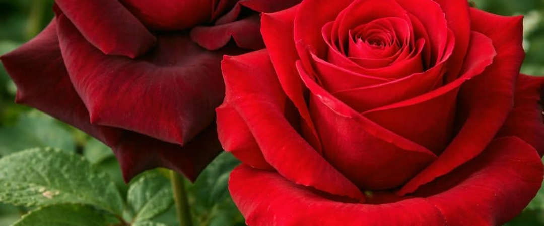 challenge background