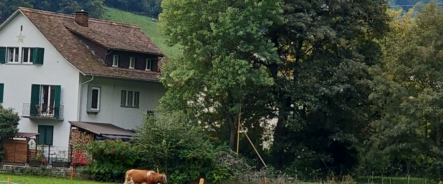 challenge background