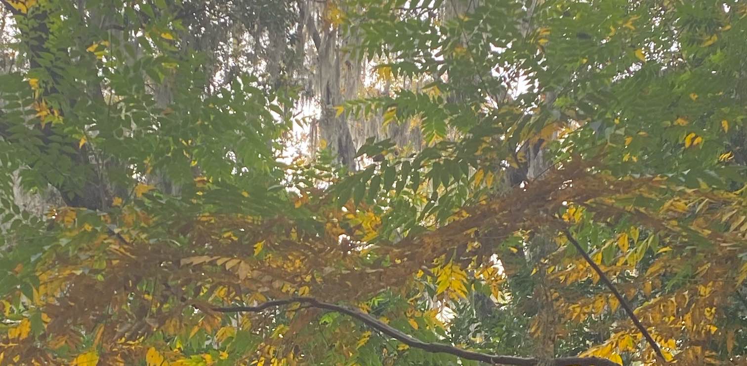 challenge background