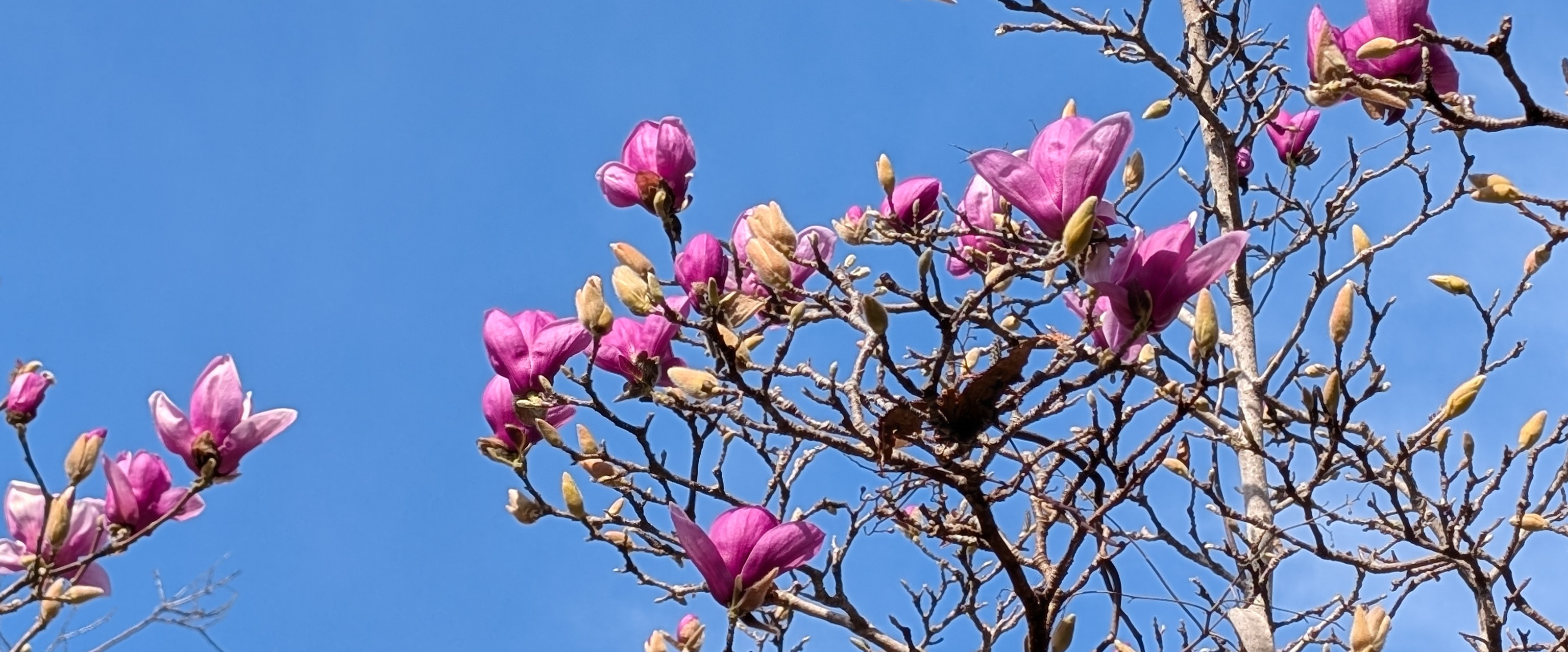 challenge background