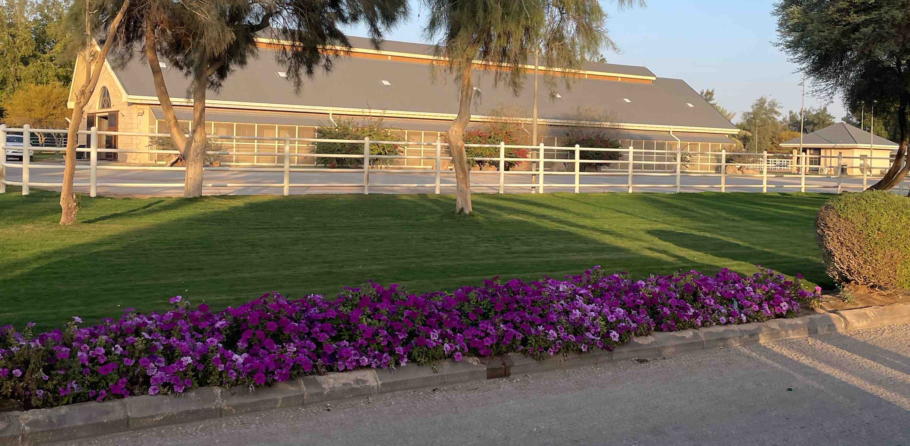 challenge background