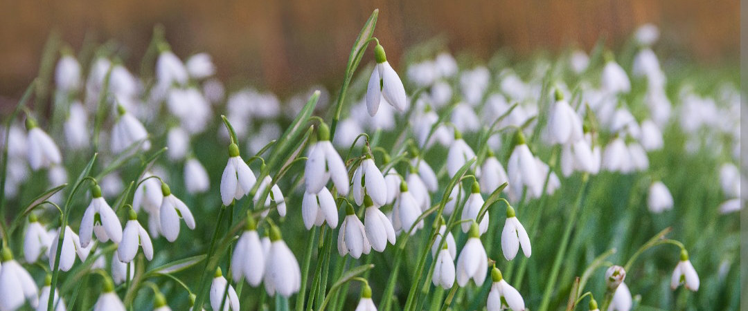 challenge background