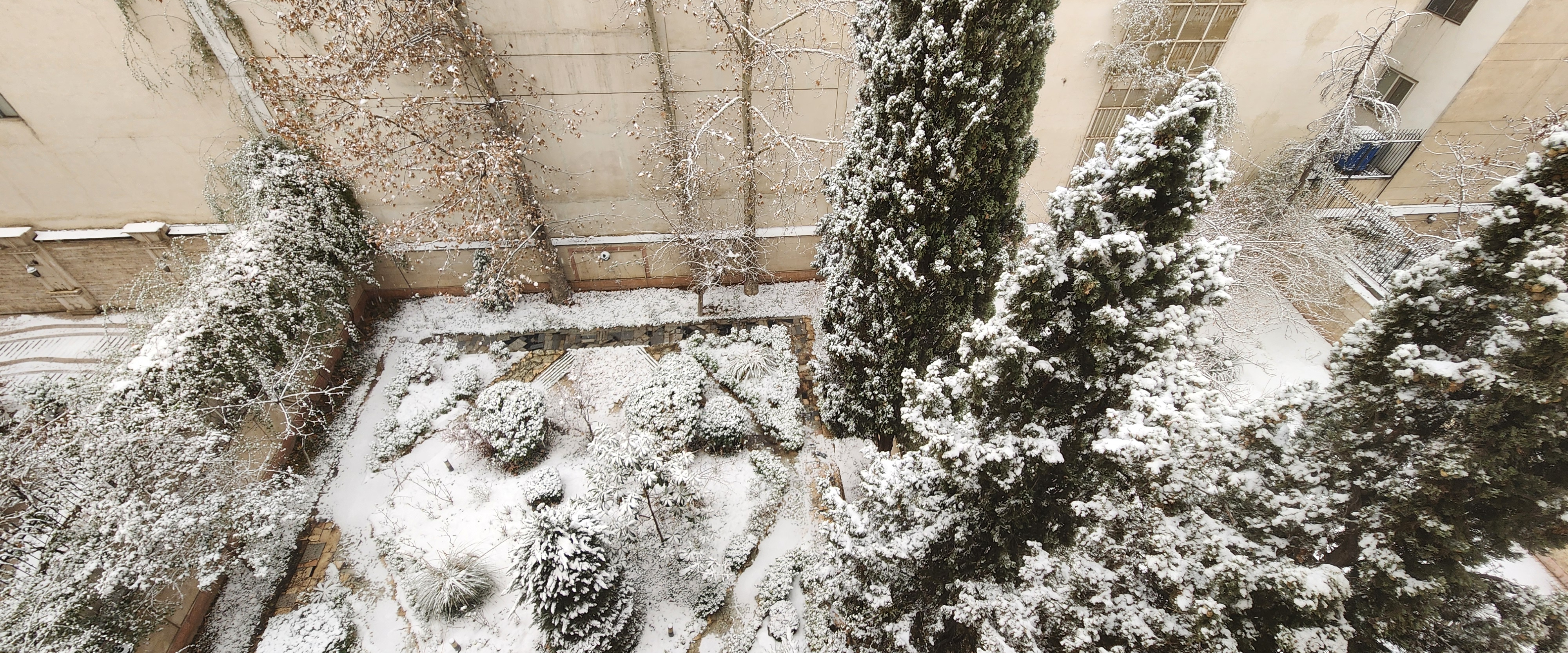 challenge background