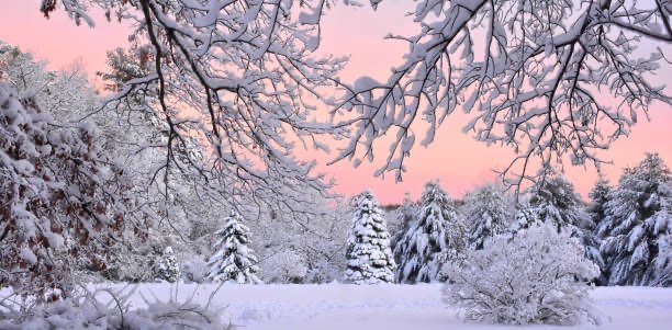 challenge background