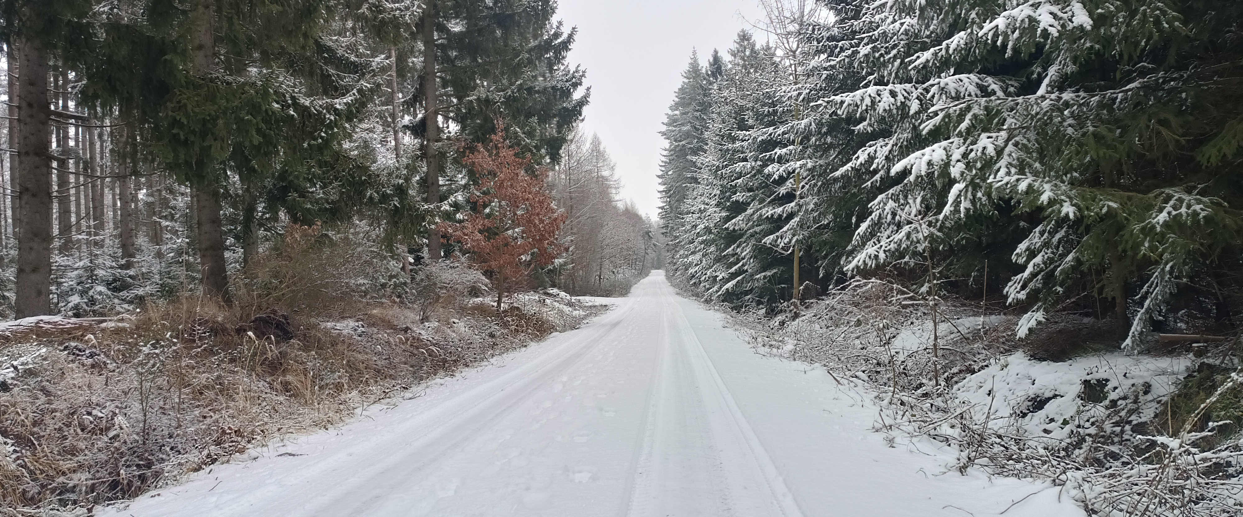 challenge background