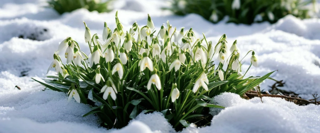 challenge background