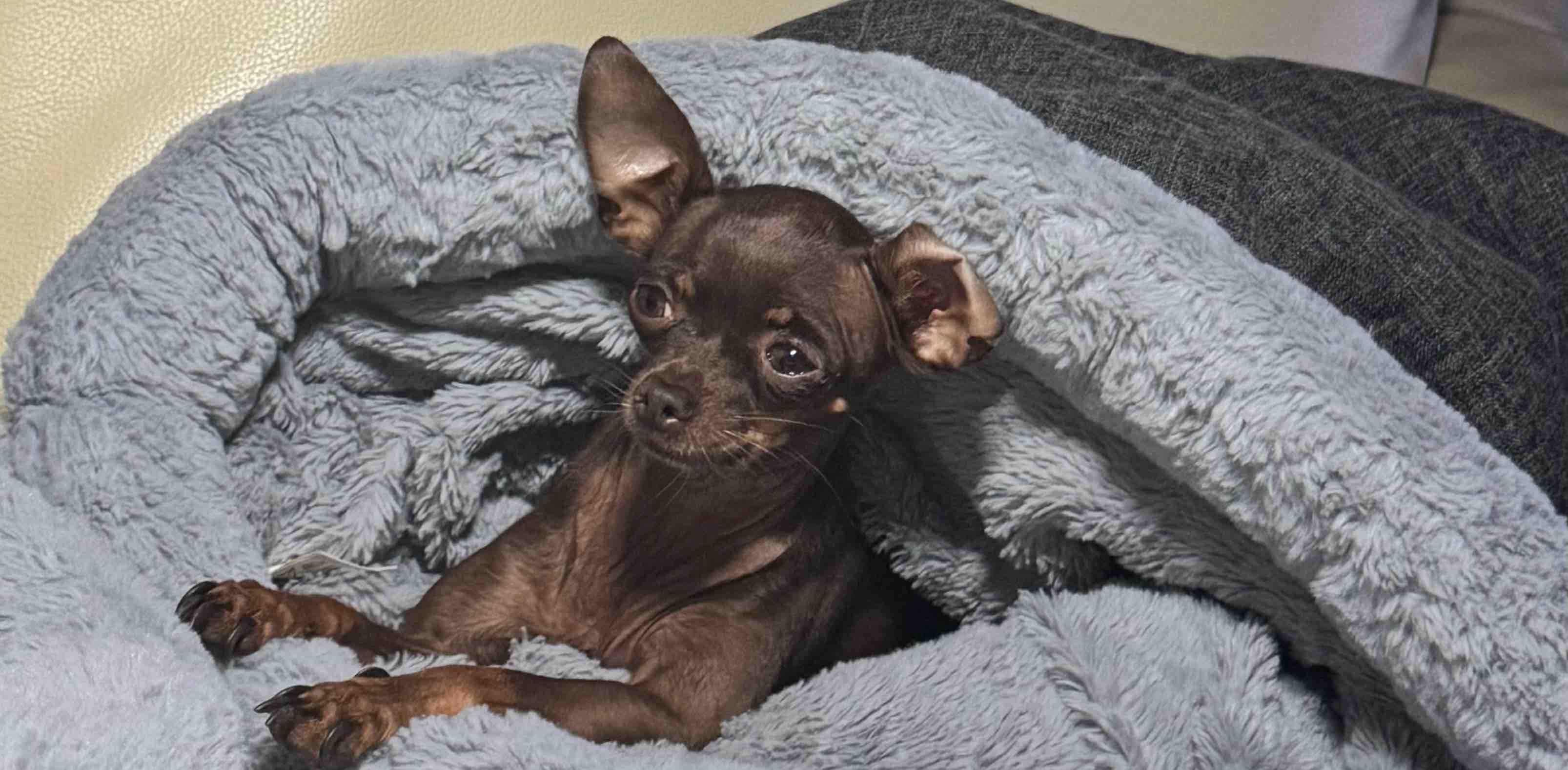 challenge background