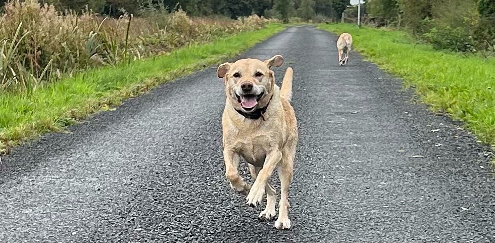 challenge background