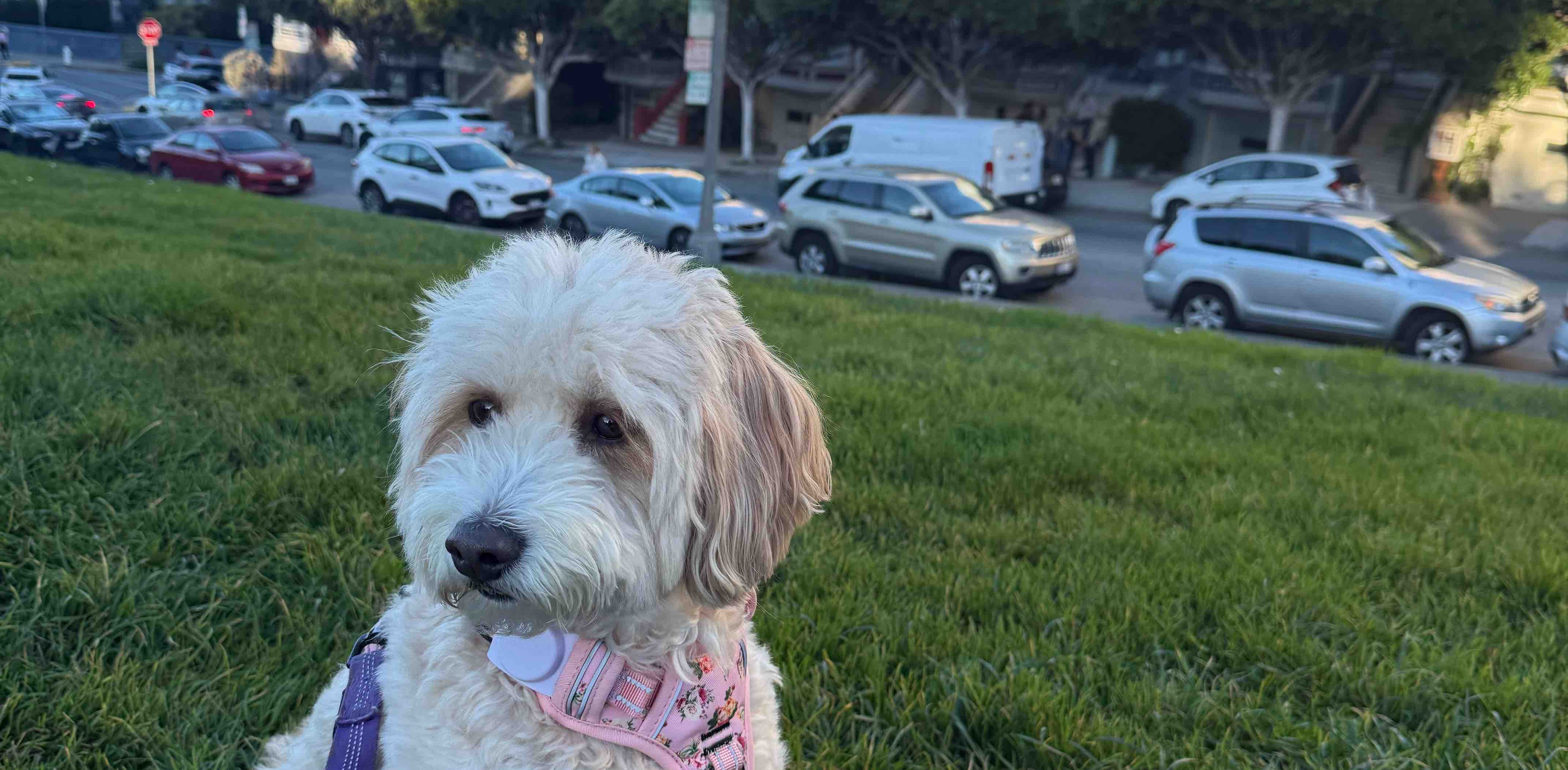 challenge background