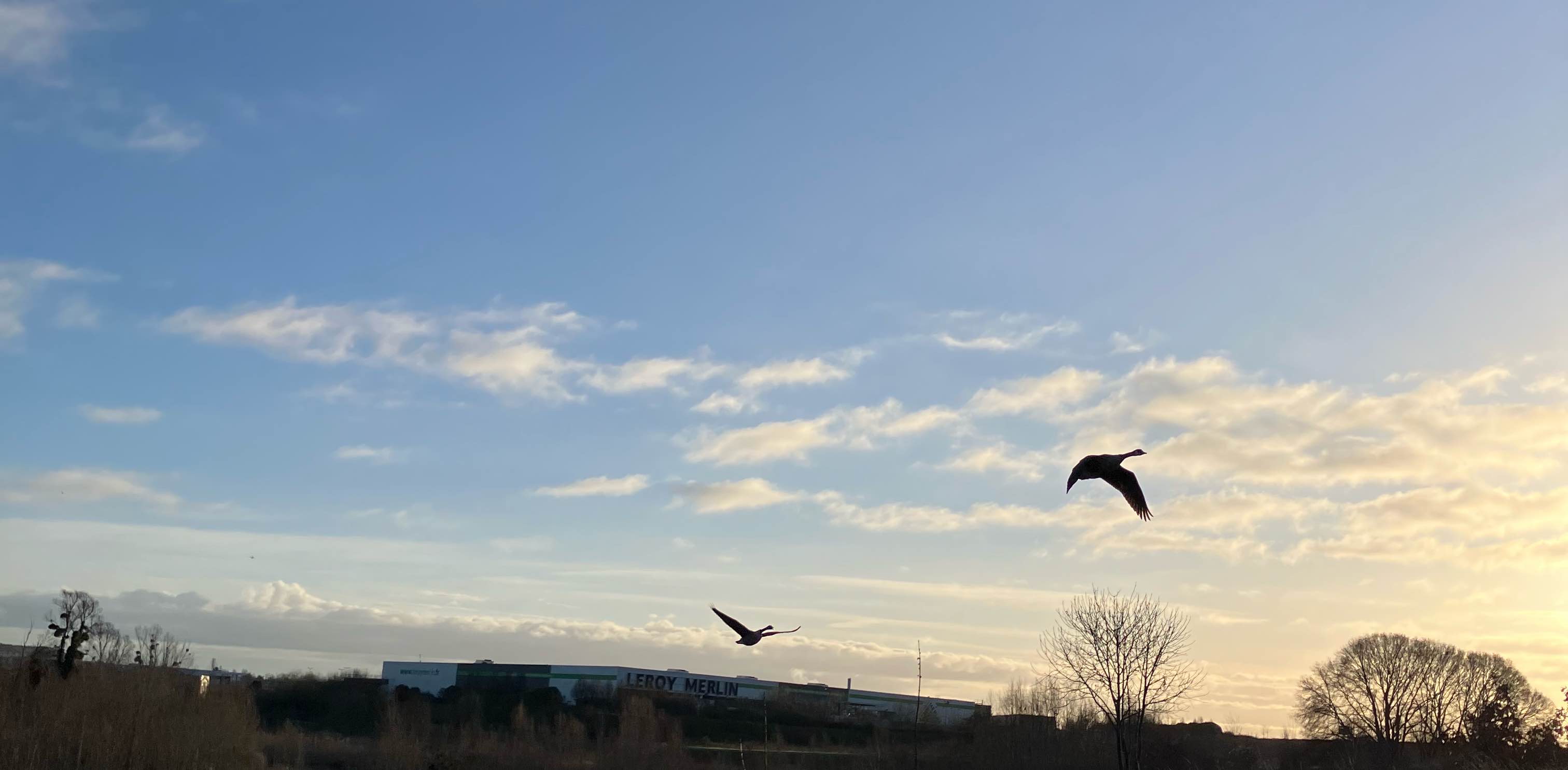 challenge background