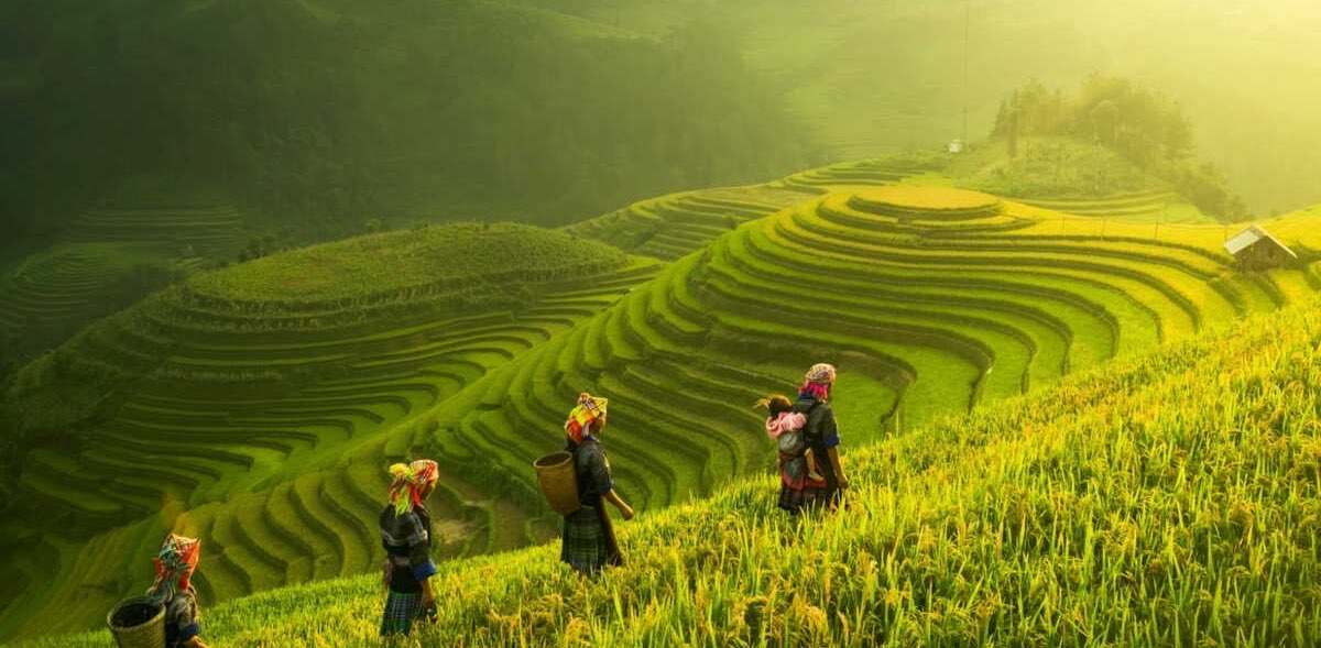 challenge background