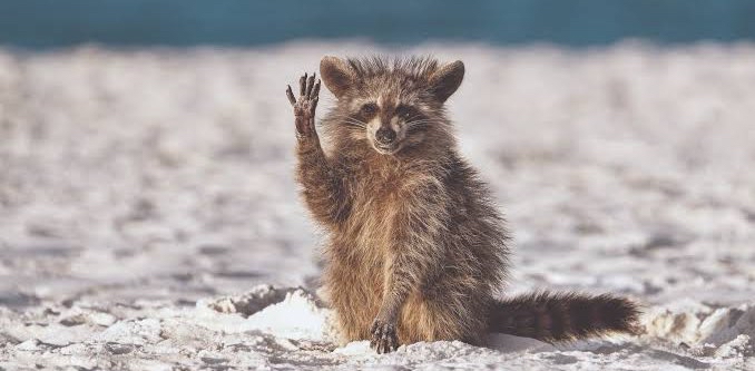 challenge background