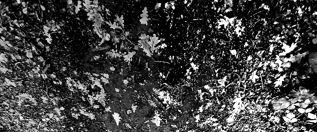 challenge background