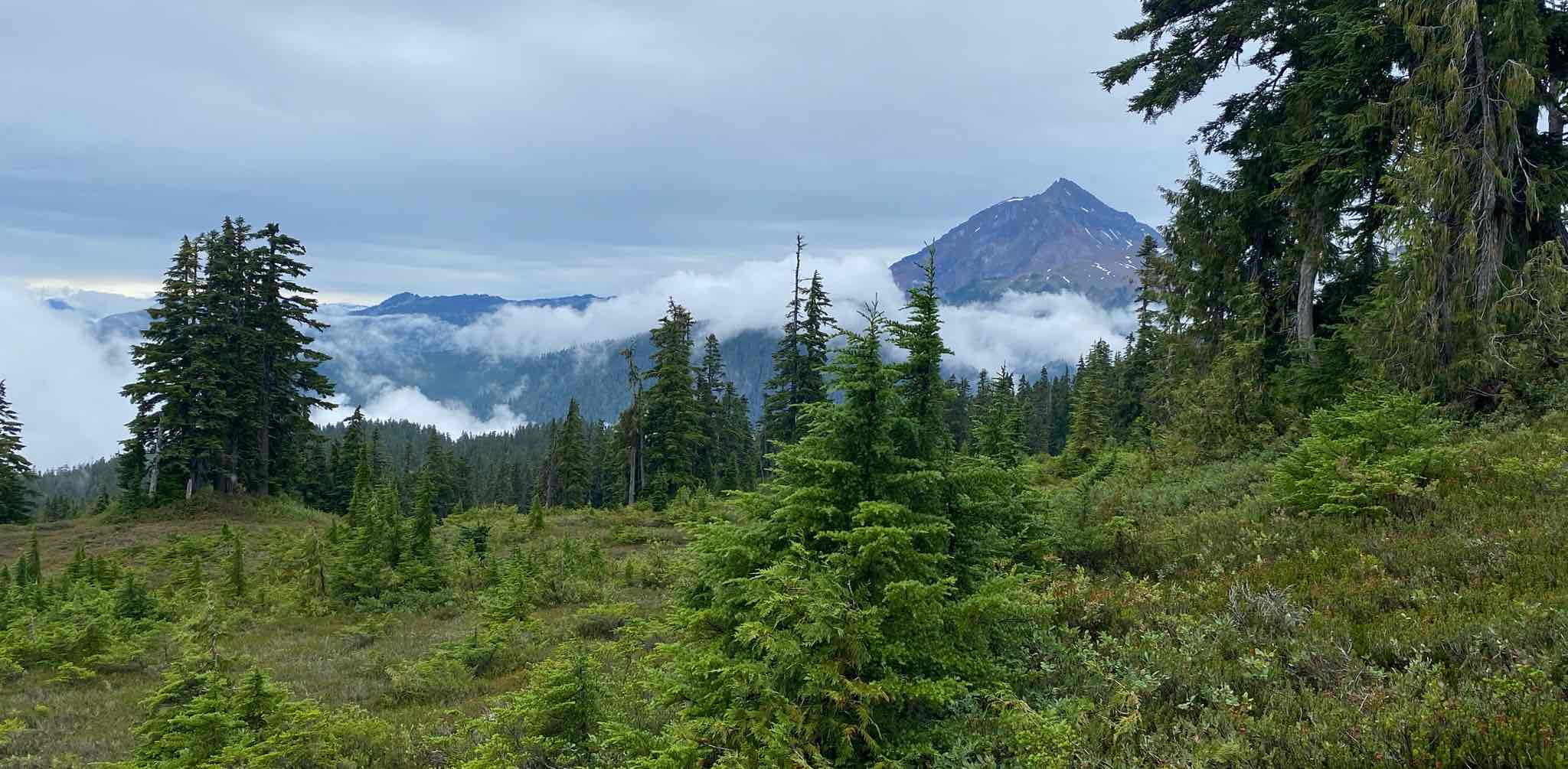 challenge background