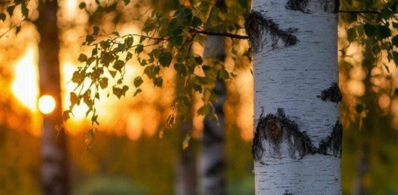 challenge background