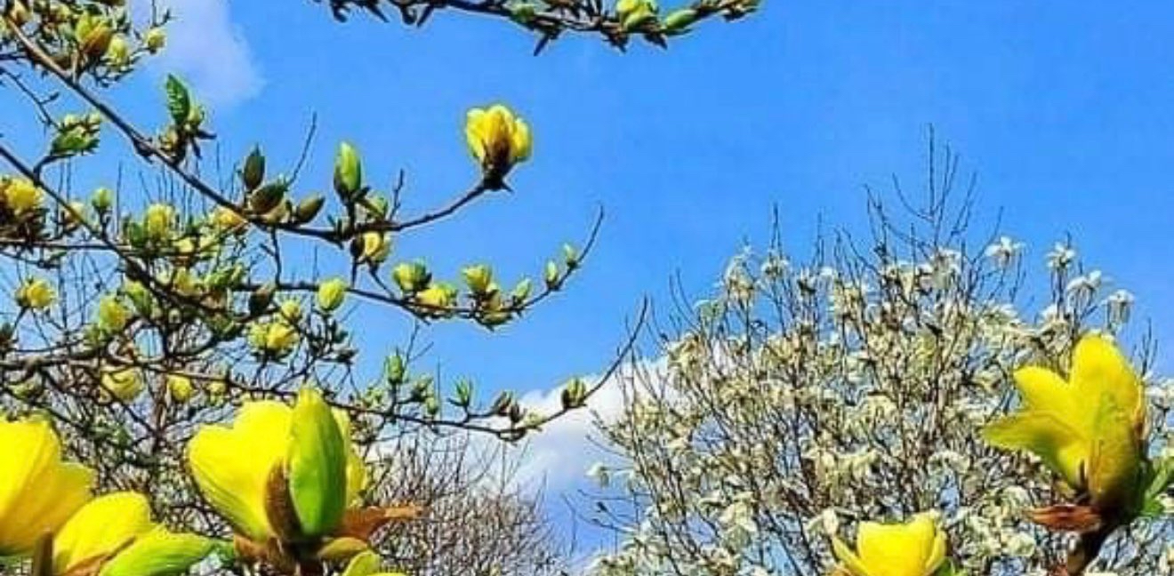 challenge background