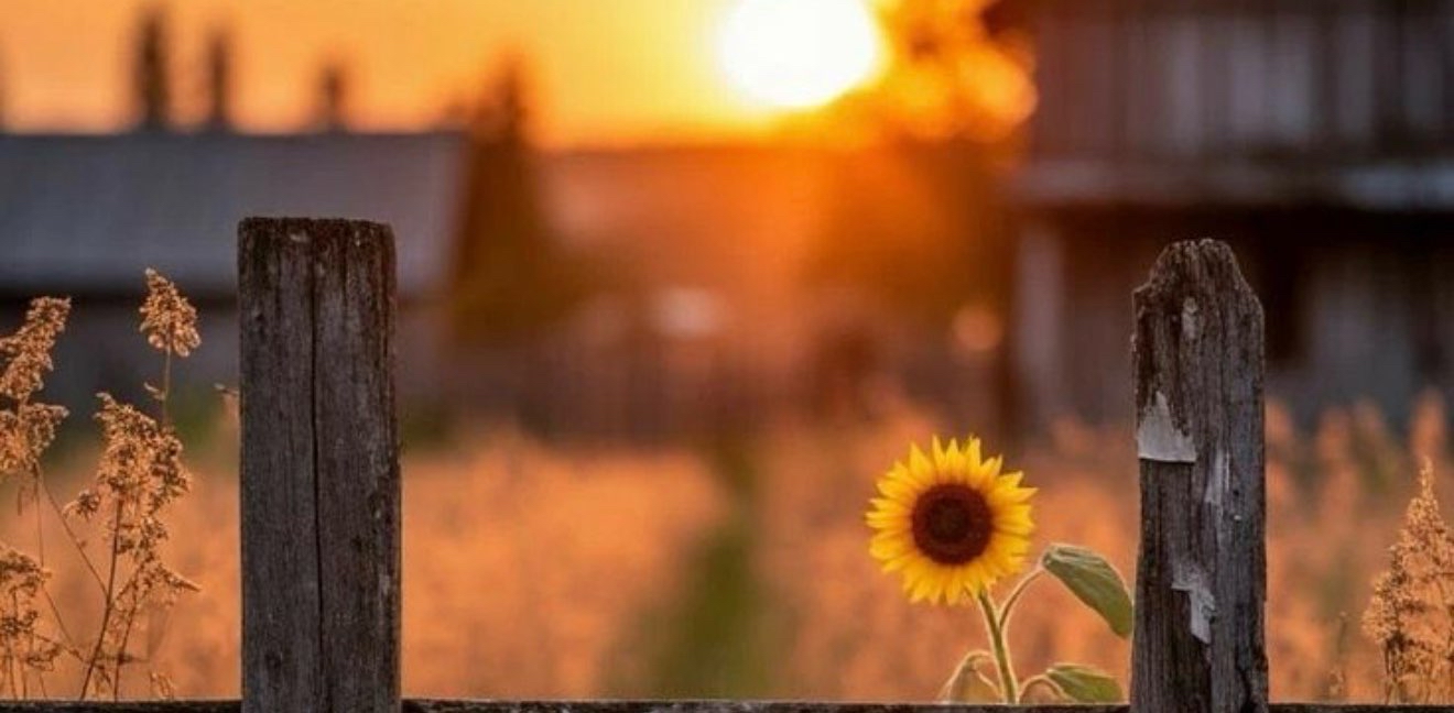 challenge background