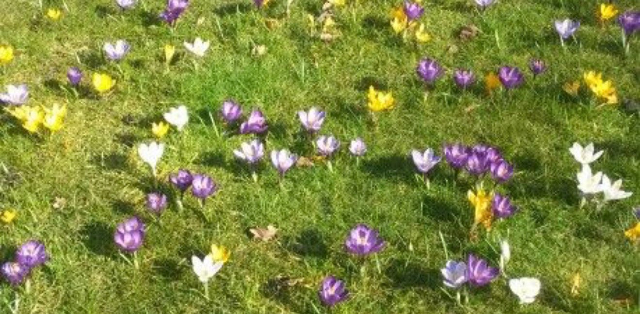 challenge background