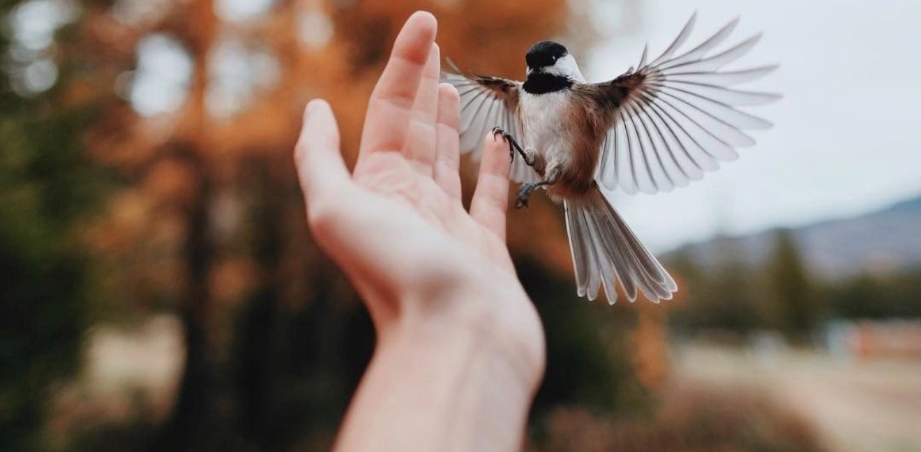 challenge background