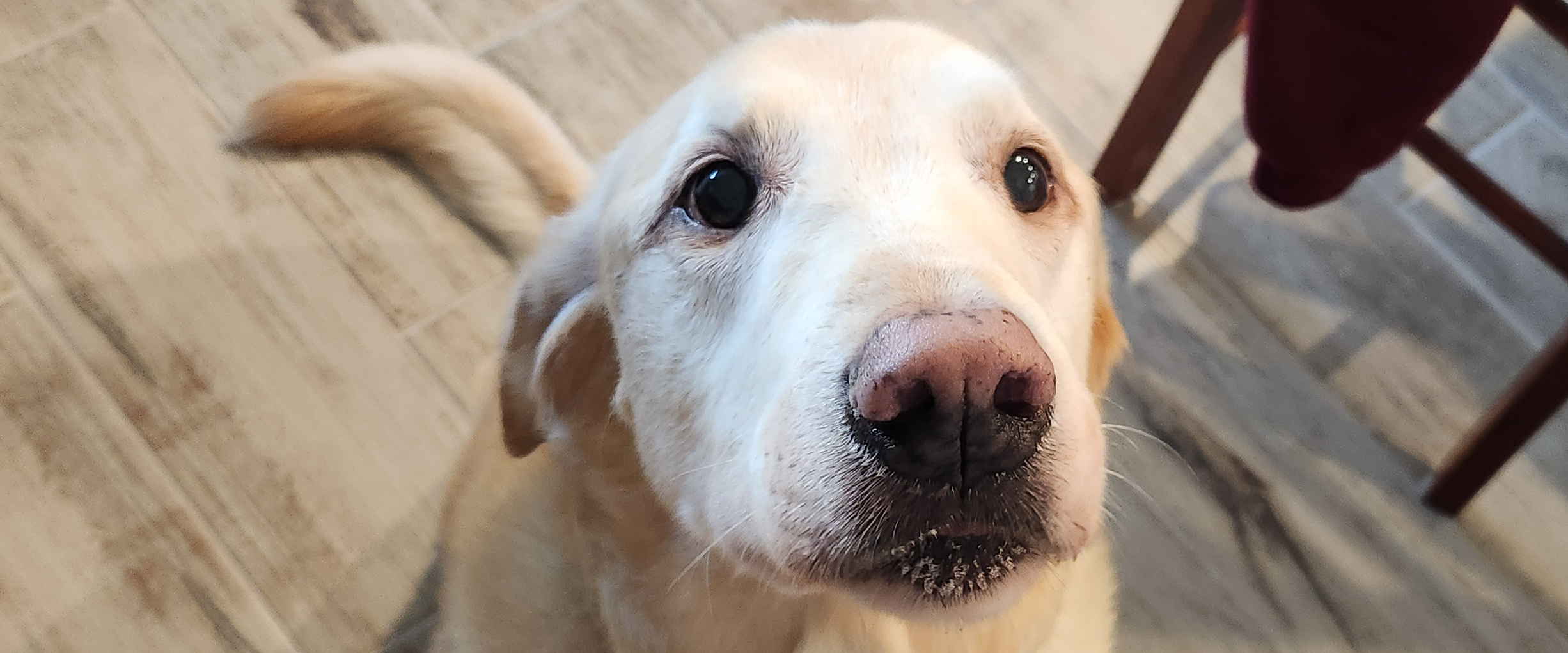 challenge background