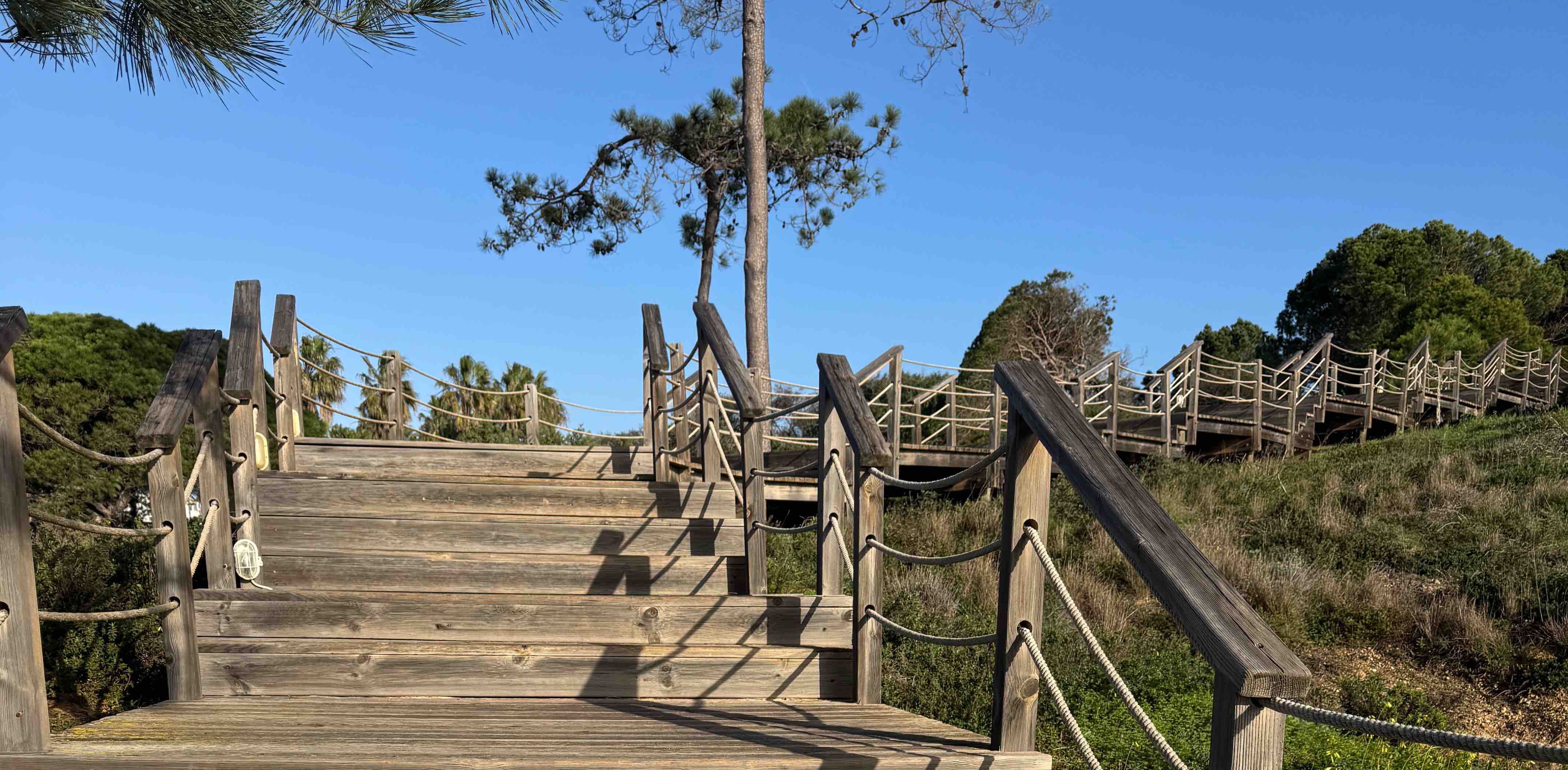 challenge background