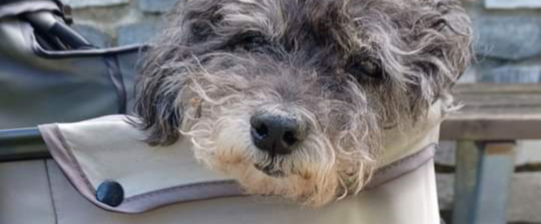 challenge background