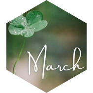 March Distance (40 mile limit) icon