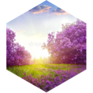 Spring 5km GPS Race icon